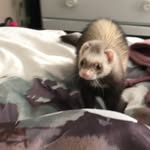 Aj lomas - @aj_or_laney_who_cares - Instagram