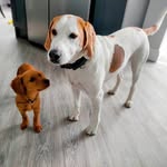 Aj Smith - @aj.lomas.5 - Instagram