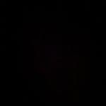 Gary sanchez - @ajlowery14 - Instagram