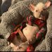 Aj Lucas - Facebook