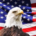AJ Lyman - @ajlyman12 - Instagram