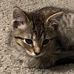 Aj Lyman - Facebook