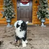 AJ Mattis - @ajmattis - TikTok