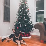 Aj Mancuso - @aj.mancuso.9 - Instagram