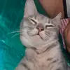 aj - @aj_manuell - TikTok