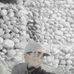 AJ Mark - Facebook