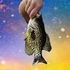 ajmarks🐟 - @fishsongfishsong - TikTok