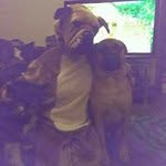 AJ Marley - @amanda.marley.33 - Instagram
