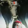 Aj Mass - @jeevaajmass - TikTok