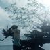 Misari Abdul-ajid - Facebook