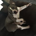 Aj_mayo - @ashtonmeyer2 - Instagram