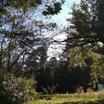AJ Mays - @vlog.thoughts - Instagram