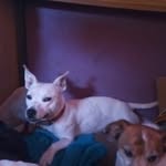 Aj McBride - @aj.mcbride.3538 - Instagram