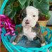 Aj Mccain - Facebook