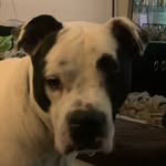Ajay M - @ajay_mcclung - Instagram