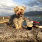 Andrew McCormick - @ajmccormick71 - Instagram