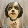 AjMcCoy88 - @ajmccoy88 - TikTok