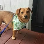 AJ McCullough - @intperception - Instagram