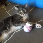 AJ McDermott - @ourcataj - Instagram