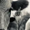 McElroy2018 - @mcelroy51 - TikTok