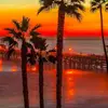 AJ McGee - @aj.mcgee - TikTok
