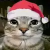 AJMCGEE75 - @ajmcgee6975 - TikTok