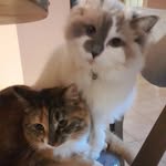 Anthony McGee - @aj.mcgeee - Instagram