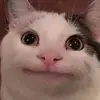 anthonymcgee2010 - @a.j_mcgee - TikTok