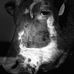 AJ Cattle Company LLC/ Mclaughlin Family Farms - Facebook
