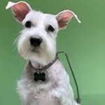 AJ MOLERO - @aj.molero - Instagram