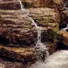 ajmoranforlife - @ajmoranforlife - TikTok