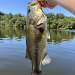 GIBBY - @aj_morin_5 - Instagram
