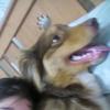 aj_morrrell - @aj_morrrell - TikTok