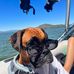 AJ Moss - Facebook