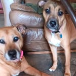 Amy Adkins Mullen - @ajmullen_ - Instagram