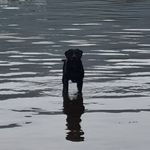 Andrew Mullen - @ajmullen1977 - Instagram