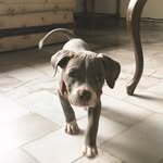 MURDOCH AJ - @murdoch_aj - Instagram