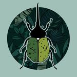 AJ Navarro - @spookylittlebeetle - Instagram