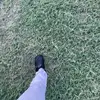 godnball - @ajayneedham0 - TikTok