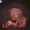 aj.neely - @aj.neely - TikTok