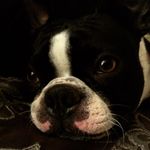 @aj.68.newton - Instagram