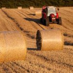 AJ Newton - @newton__farm - Instagram