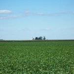 AJ Newton - @_newton_farms_ - Instagram