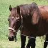AjNolan6969 - @aj.nolan - TikTok
