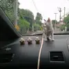 Aj. Noona - @aj.noona - TikTok