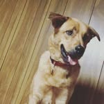 Aj Norman - @ajnorman10 - Instagram
