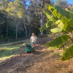 AJ Olsen | Agroforestry | Syntropics - @spiral_agroforestry - Instagram
