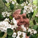 A.J. Olszewski - @a.j.olszewski - Instagram
