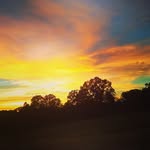 AJ ONeil - @the_reil_oneil_24_ - Instagram