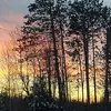 AJ Parker - @aj.parker1 - TikTok